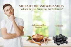 Shilajit Vs Ashwagandha.Which Is More Effective?