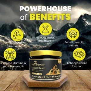 Veda harvest Himalayan Shilajit Resin - 30gm - Veda Harvest 