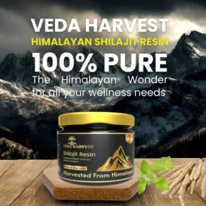 Veda harvest Himalayan Shilajit Resin - 30gm - Veda Harvest 