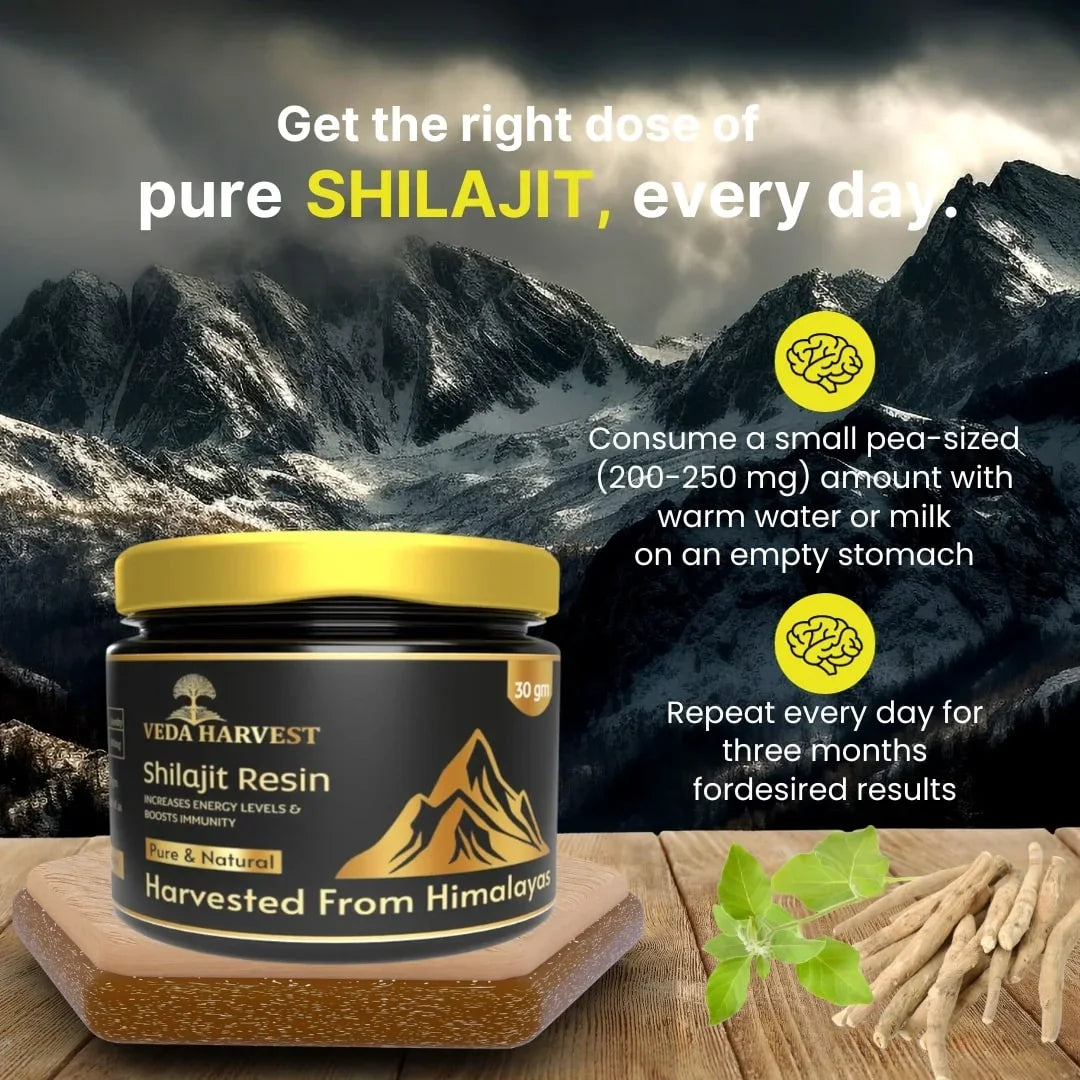 Veda harvest Himalayan Shilajit Resin - 30gm - Veda Harvest 