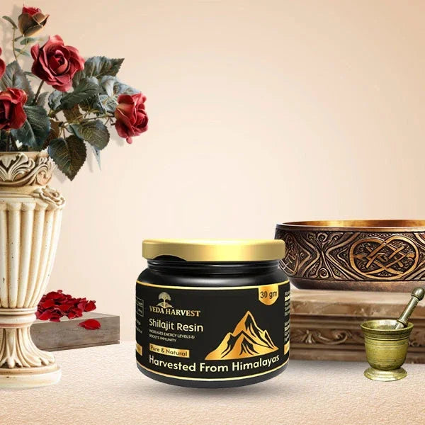 Veda harvest Himalayan Shilajit Resin - 30gm - Veda Harvest 