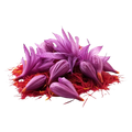 Saffron