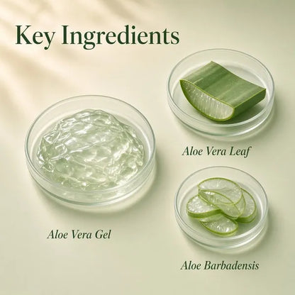 Veda Harvest Aloe Vera Gel for Skin & Hair – 400ml – image 2