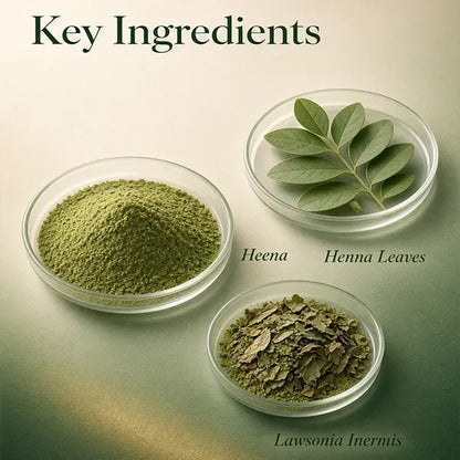 Veda Harvest Henna Powder for Hair – 250gm – image 2