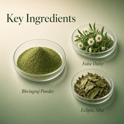 Organic Bhringraj Powder for Hair Growth – 250gm