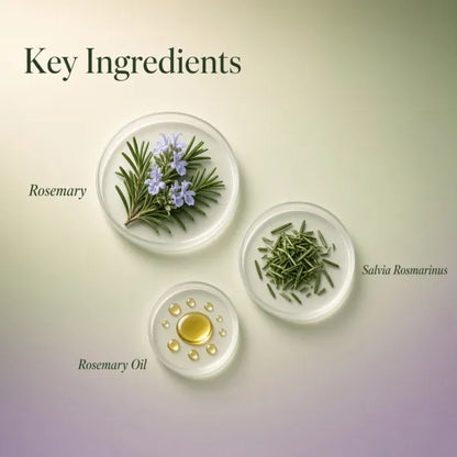 Veda Harvest Rosemary Essential Oil – 30ml – image 2