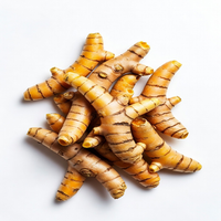 Turmeric