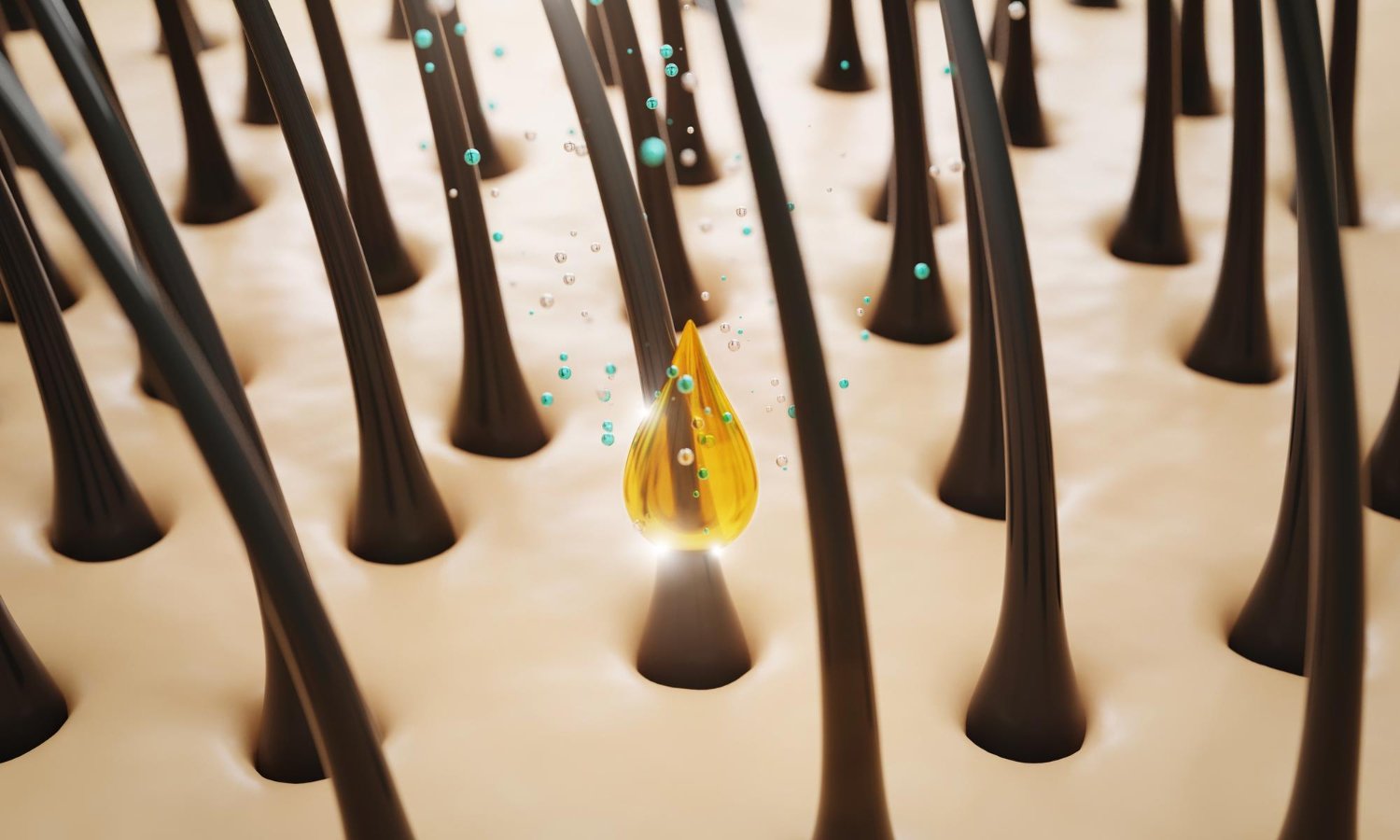 Prevent dandruff and lice