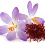 Saffron with crocus flower