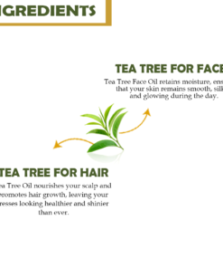 tea tree ingredients