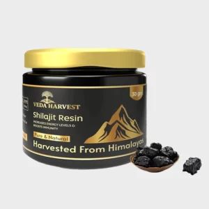 shilajit-blog-image
