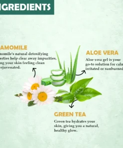 Green tea ingredients