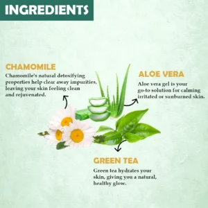 Green tea ingredients