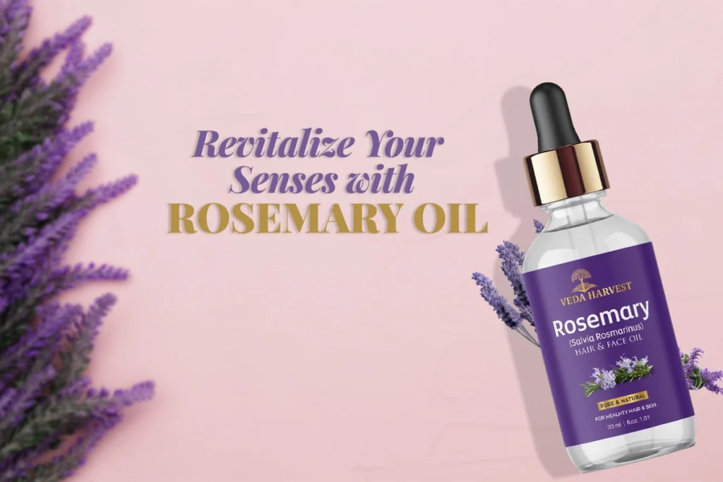 rosemary oil, how to use rosemary oil ? is rosemary oil for hair growth? benefits of using rosemary oil, rosemary flower