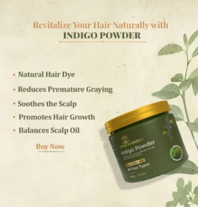 natural growing hair with indigo powder