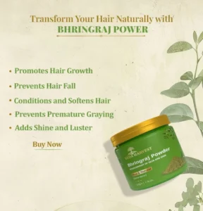 benefits of using bhringraj powder for hair